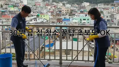 30분 급! 집 청소 꿀팁: 초보도 OK!